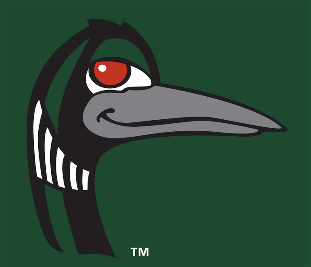 Minor League Baseball's 30 best team names, logos