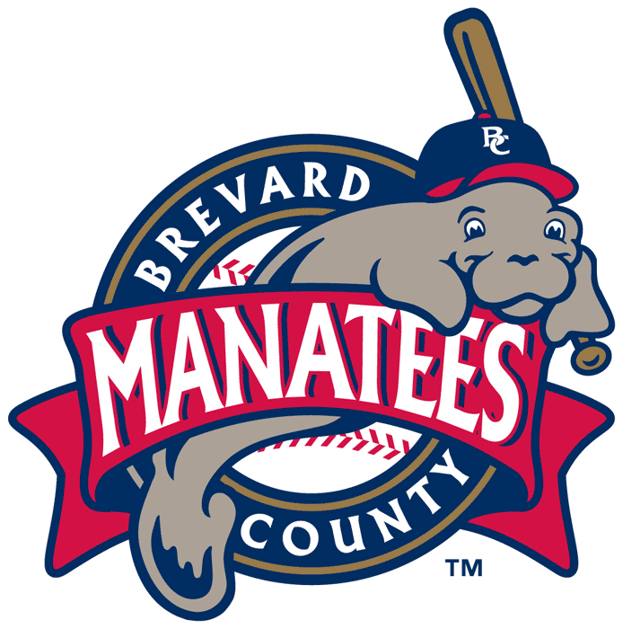 Top 35 Minor League Baseball Team Logos (and the worst one)