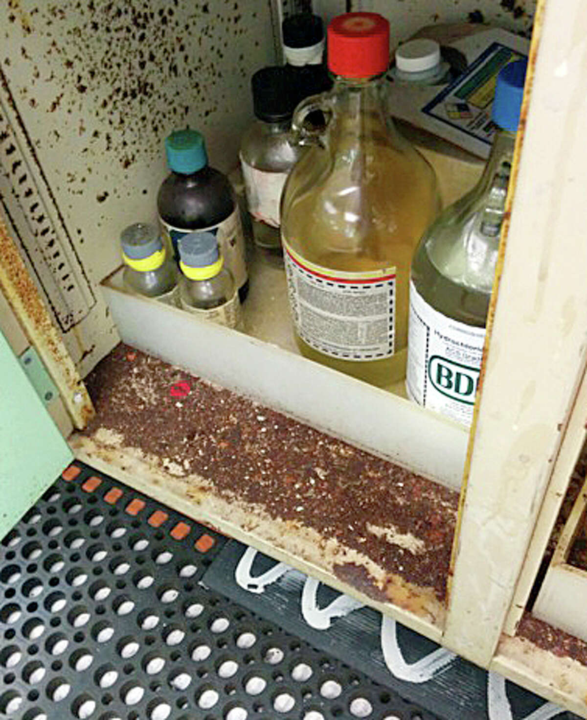 This acid storage cabinet was pitted with rust, which also had collected inside it when a DuPont La Porte process lab was toured last year. One former lab technician said she filed written complaints about the conditions for five years, with no results.