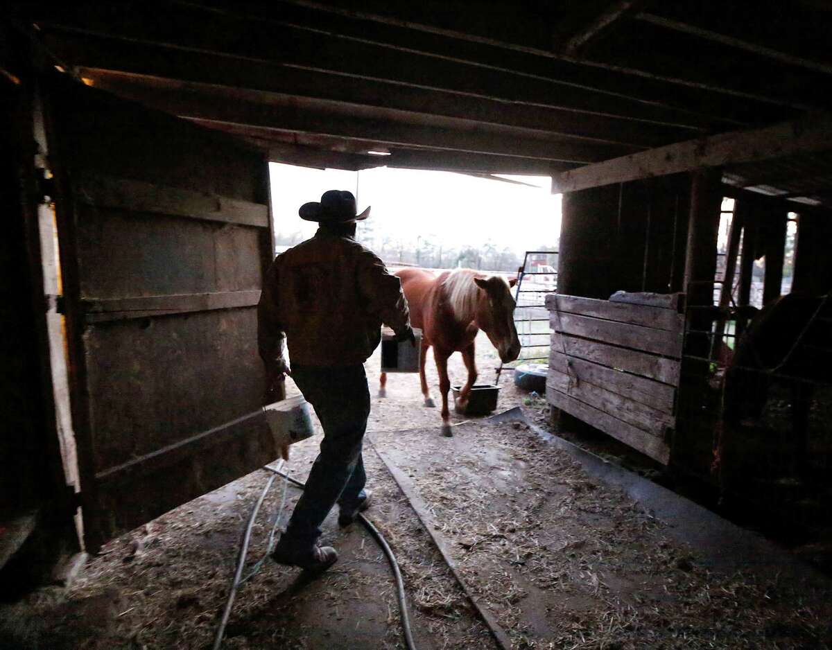Northeastern Trailriders Association trail boss Anthony Bruno prepares for the Houston Livestock Show & Rodeo trail ride in 2015.