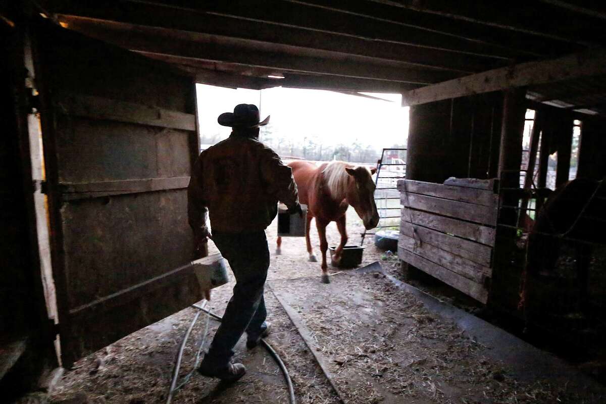 Story photo for On MLK Day, remember the legacy of the Black cowboys. [Editorial]
