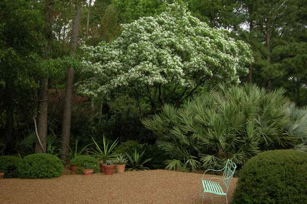 Peckerwood Garden created with the eye of an artist - HoustonChronicle.com