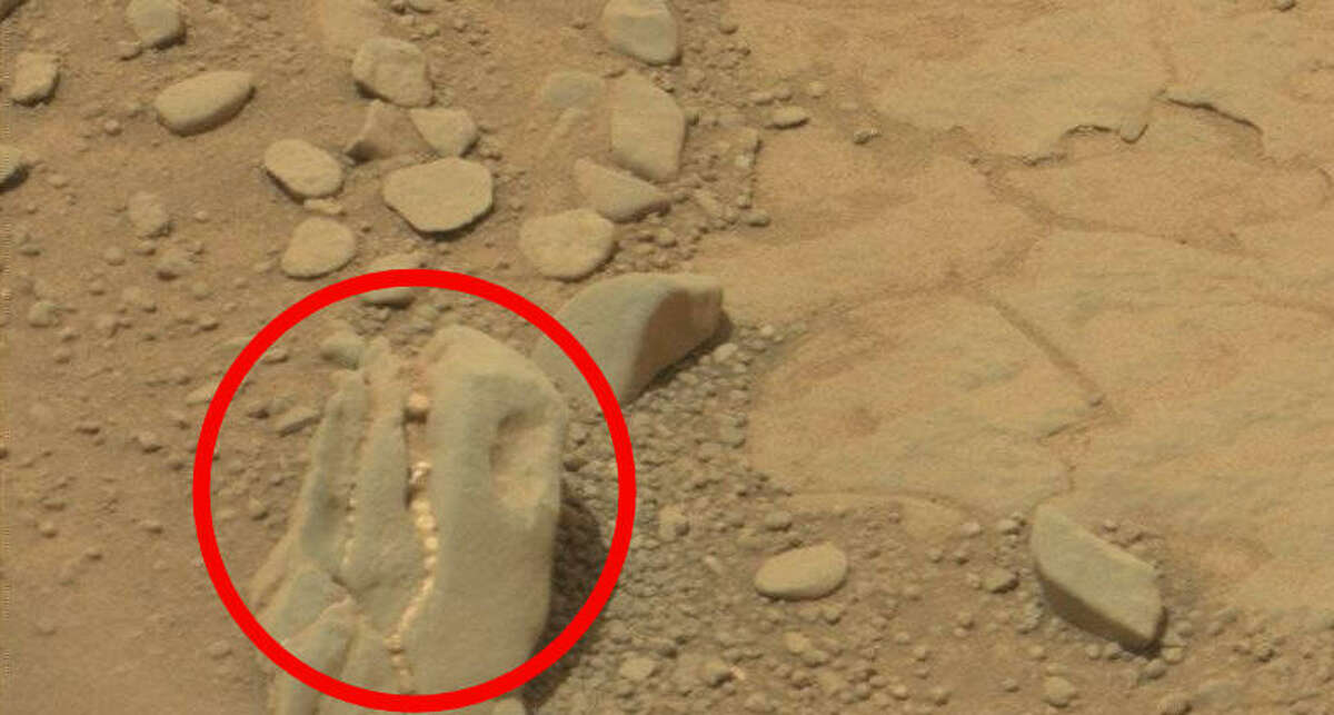 Dinosaur skull found on Mars? The Mars watchers at UFO Sightings Daily say this formation spotted in a NASA photo from Mars resembles a fossilized dinosaur head. We say it looks like a rock.
