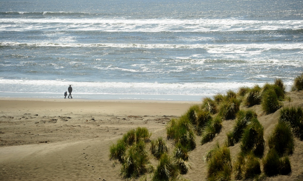 Santa Rosa professor dies in Tomales Bay kayaking accident
