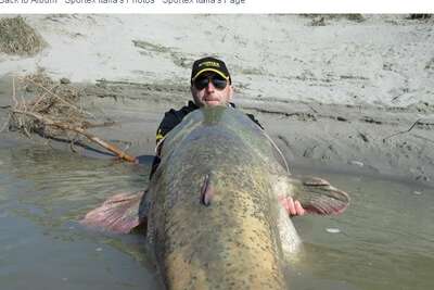 Italian Fisherman Catches Enormous 280 Pound Wels Catfish In Italian River