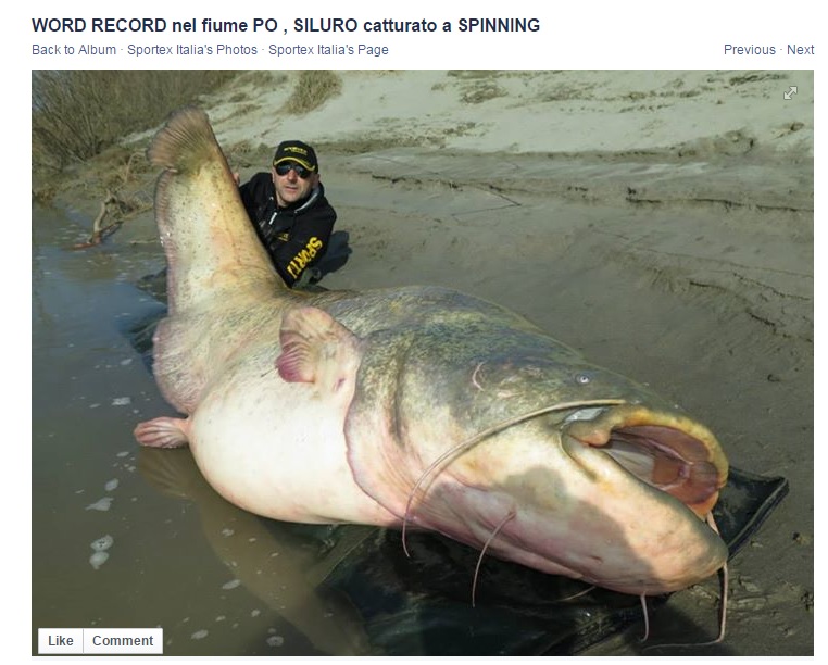 Italian fisherman catches enormous 280-pound wels catfish in Italian river