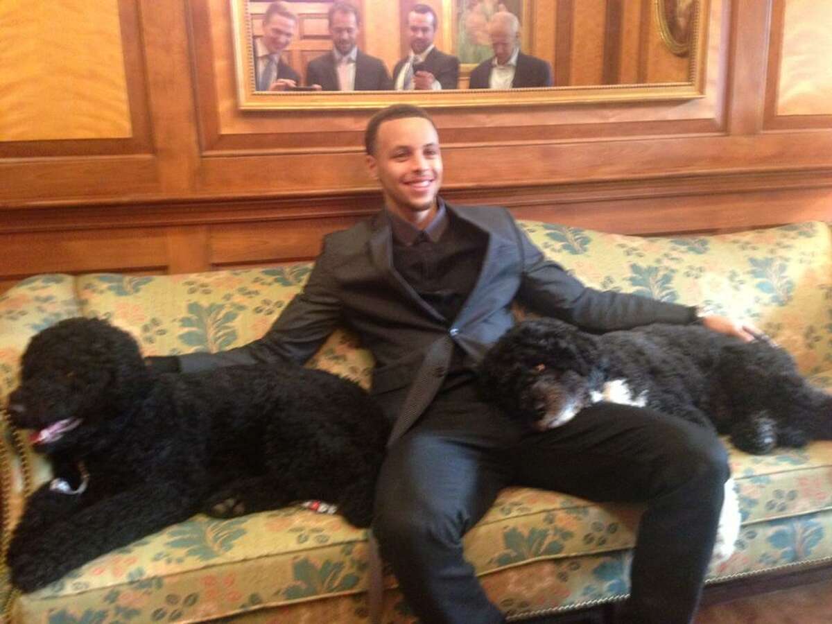 Stephen Curry relaxes on a couch at the White House with President Obama’s Portuguese water dogs, Bo and Sunny.