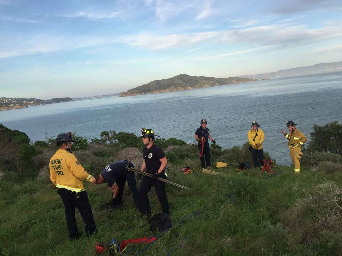 A South Marin County fire-and-rescue team suits up to help National Park Service rangers pull a vandalism suspect to safety after he scrambled down a waterfront cliff to avoid arrest near Fort Baker in Marin County on Thursday, officials said.