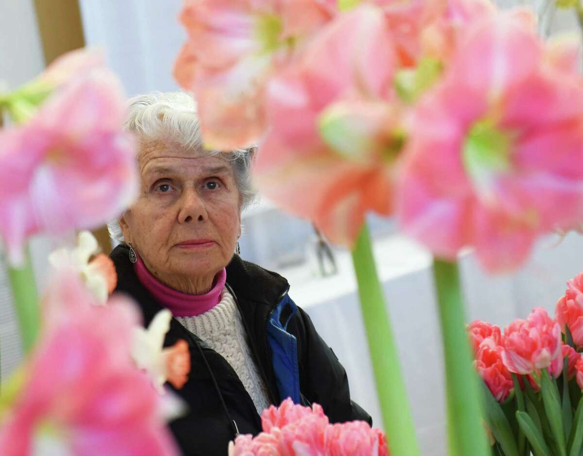 Margaret Klumpp, of Old Greenwich, looks at colorful "Rosalie" flowers on display at the Hanami Preview of Spring flower show at Christ Church Greenwich in Greenwich, Conn. Friday, Feb. 27, 2015. The show is presented by the Greenwich Green Fingers Garden Club in coordination with the Garden Club of America and features a display of floral and horticultural design, photography, botanical arts and education exhibits. Held every three years, the flower show attracts the best exhibitors and judges from across the country showcasing displays with an emphasis on aesthetic design, tranquility and nature's beauty. 
