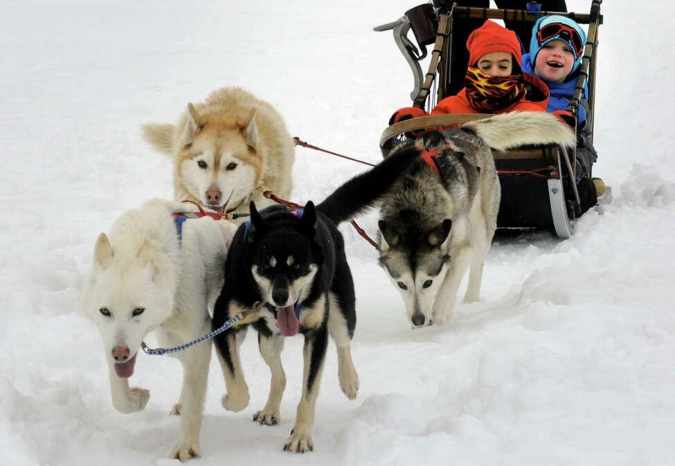 Sled dogs travel to St. Gregory's