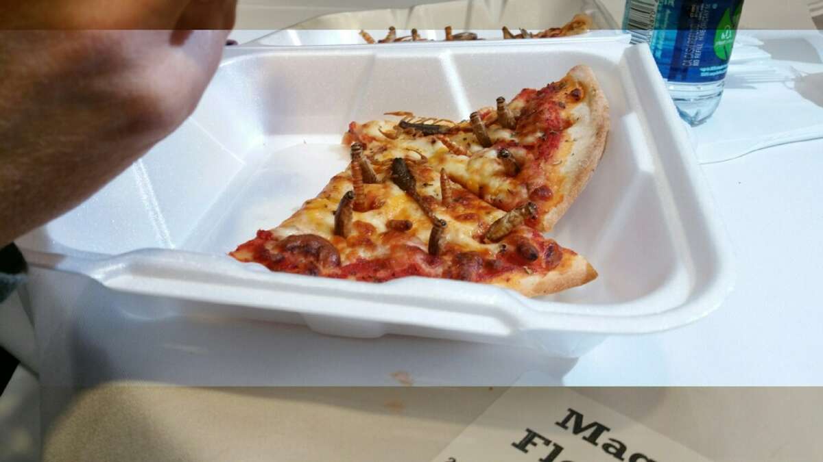 Pizza with meal worms, crickets and dried scorpions, one of the entries in the 2014 Gold Buckle Foodie Awards for best carnival good at the Houston Livestock Show and Rodeo.