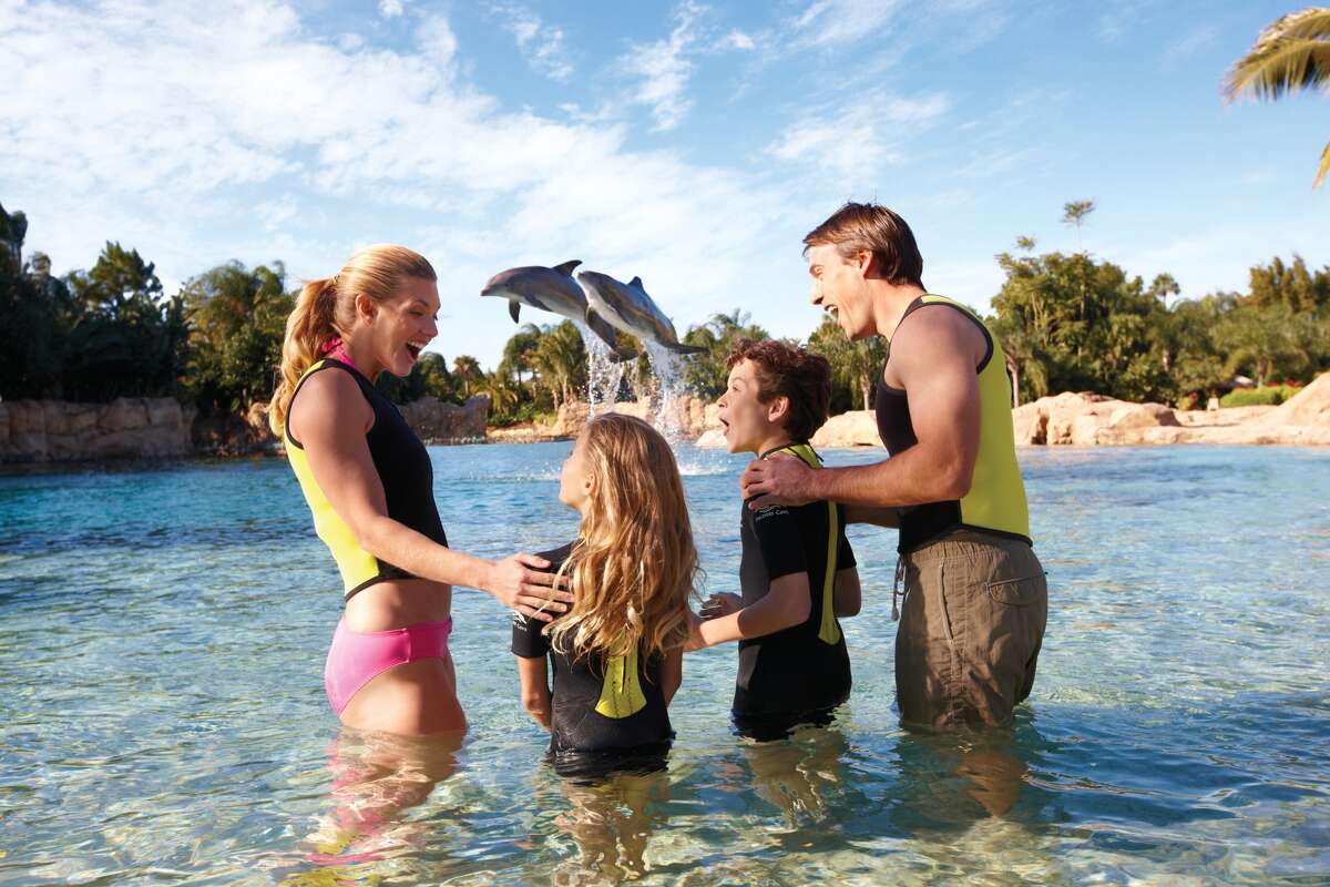 Starting March 23, access to Dolphin Cove and the park’s sharks and coral reef attractions will remain closed until construction crews complete the project in May 2016, according to a news release.