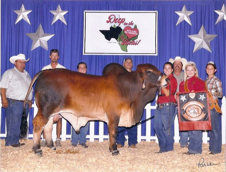 Houston Rodeo Farm Animals Rodeo Houston is a marketplace for decades-old practice