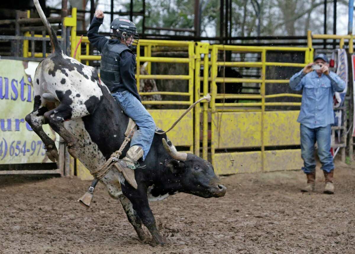 Jaron Sheehan, 13, of Magnolia rides a bull named Fongo as his dad, Russell Sheehan takes a video at the Kingstring Bucking Bulls ranch Monday, March 2, 2015, in Pine Valley.