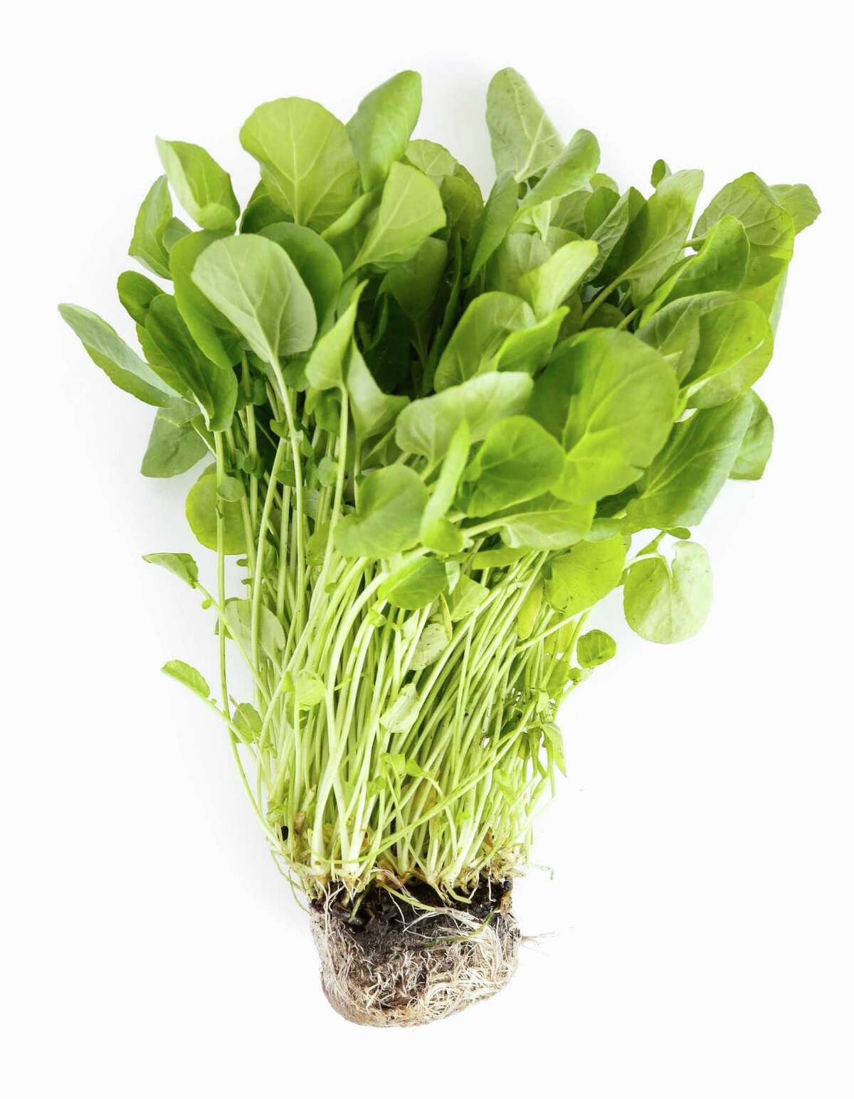 Watercress is a nutrient-dense, versatile vegetable.
