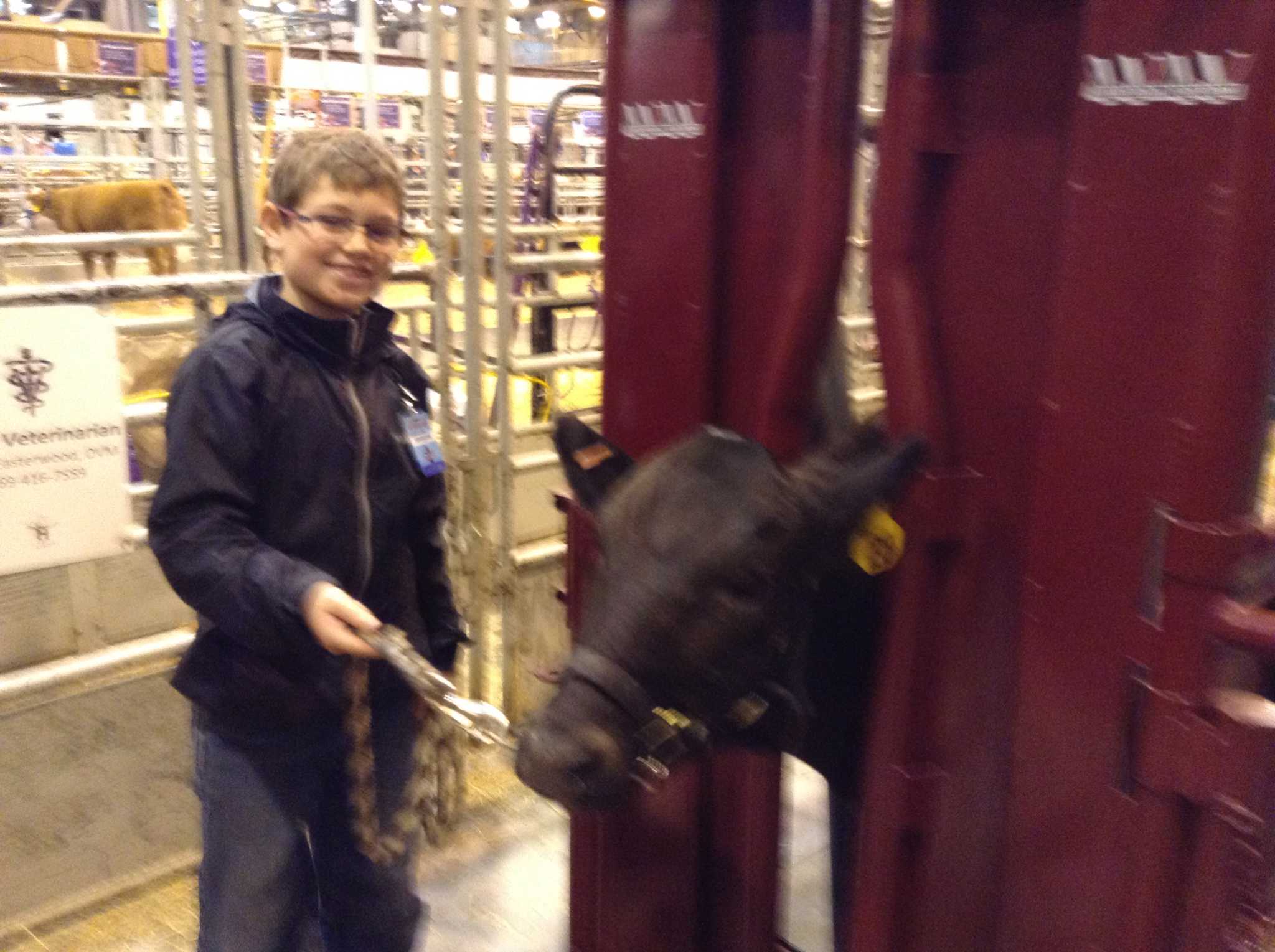 Just how marbled is that cow's beef? You'll need to ultrasound it to