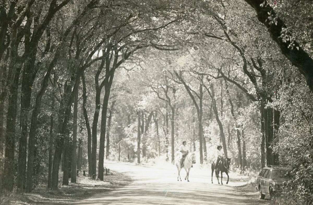A couple enjoy a ride on horseback through Brackenridge Park in June of 1978.