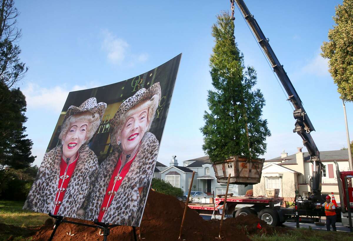 A tree honoring famed twin Marian Brown (seen on the right in the photo), who died last year, is planted in a park on Sloat Boulevard in San Francisco, Calif. on Wednesday, March 11, 2015. The California incense cedar was planted next to another one that was planted in honor of Marian's twin sister Vivian, who passed away in 2013.
