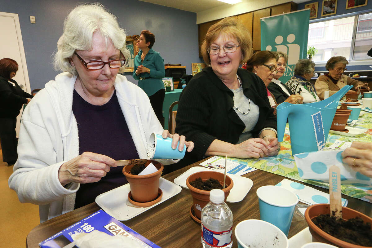 Janice Thompson (second from left), assistant managerat the Christian Village Apartments, 5800 Wurzbach, watches as Jennifer Mullinax (left) plants basil seeds in a program sponsored by Molina Healthcare of Texas.