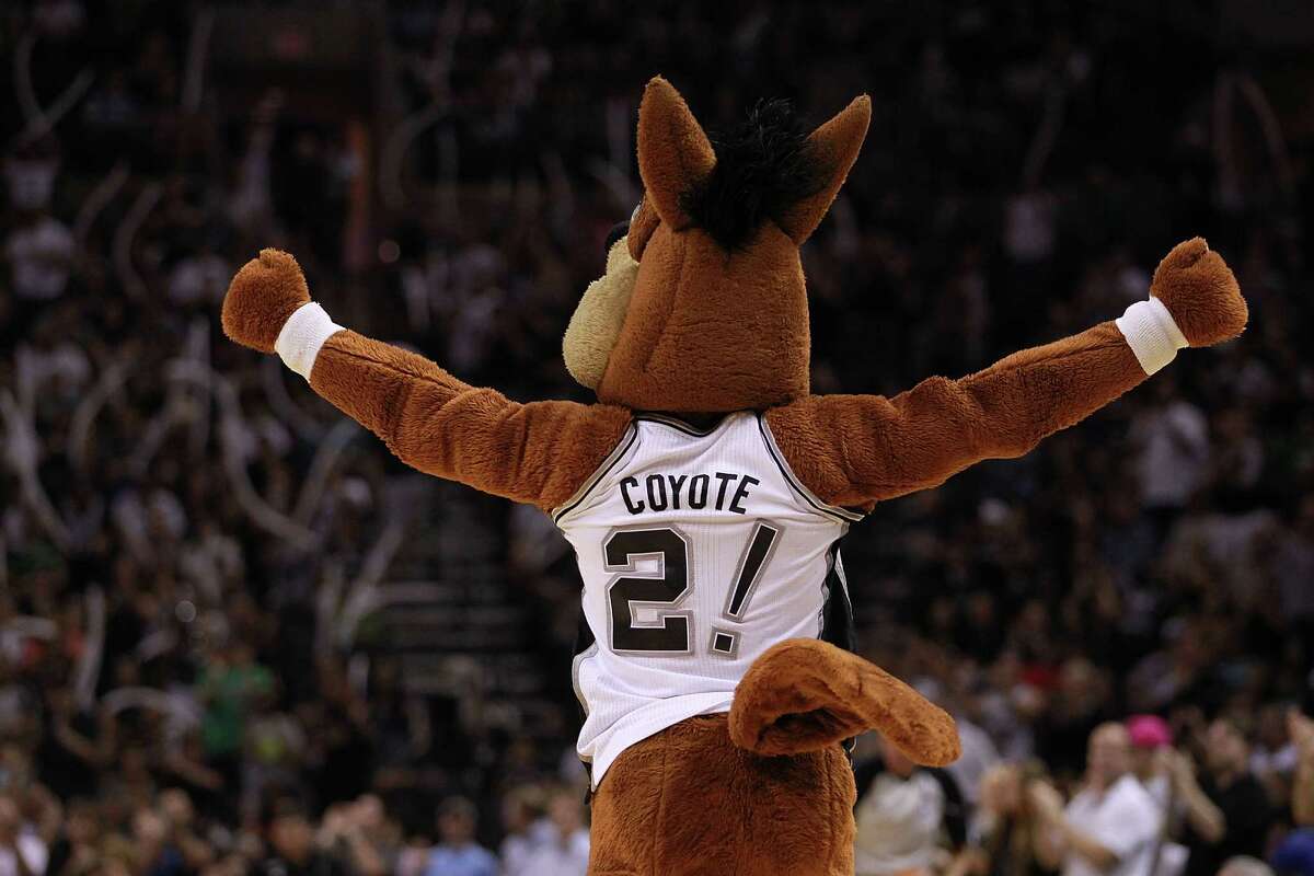 spurs coyote stuffed animal