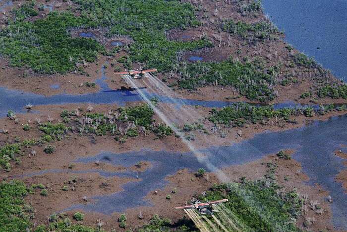 Court Dismisses Vets Claim Agent Orange Poisoned Them In Vietnam