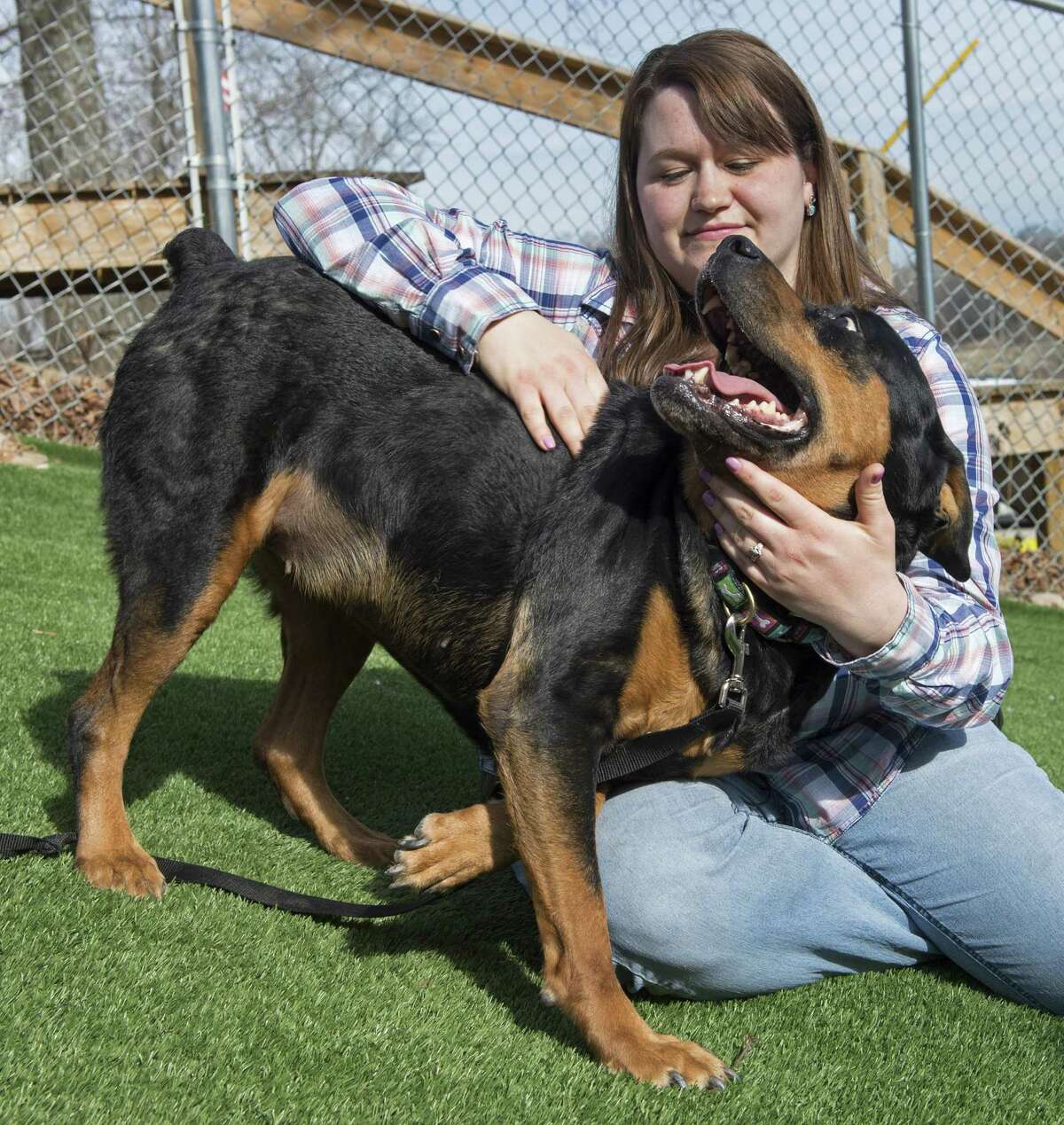 Tabitha Moore is reunited with her long lost dog, Tyra, a 7-year-old Rottweiler, at the Kansas City Pet Project in Kansas City, Mo. The dog had disappeared in 2010 from Moore’s fenced yard in Warrensburg, Mo.