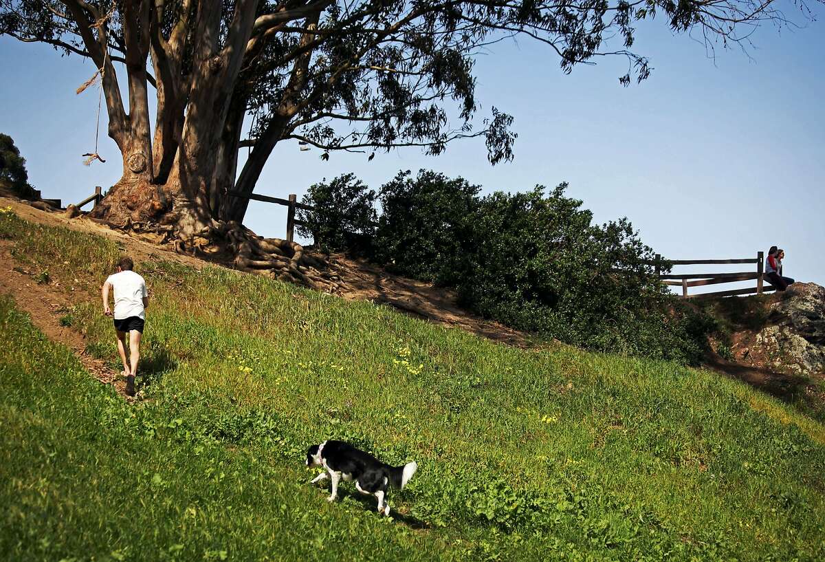 The hillside of Billy Goat Hill Park in Noe Valley San Francisco, Calif., Thursday March 12, 2015.
