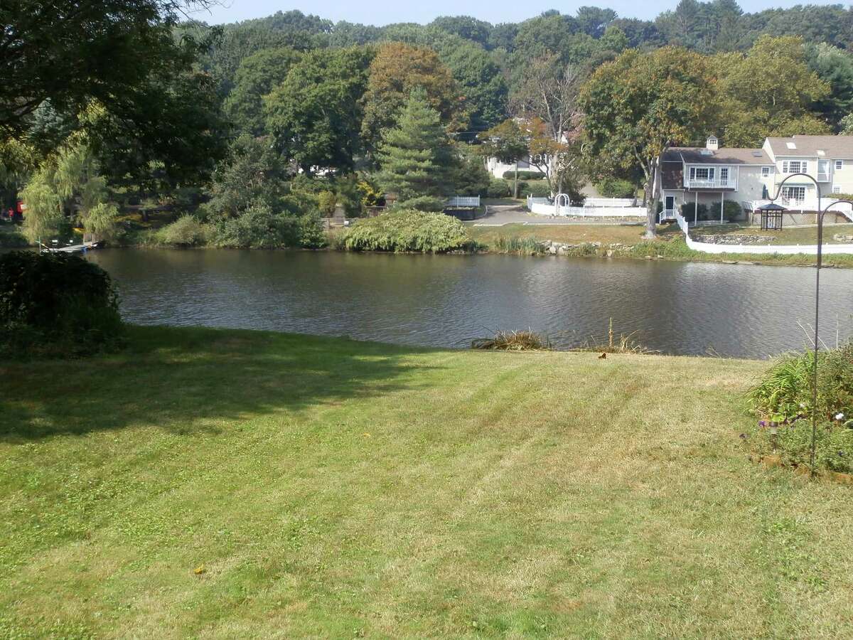 A view of the Mill River from the back yard of the Somerset Avenue home.
