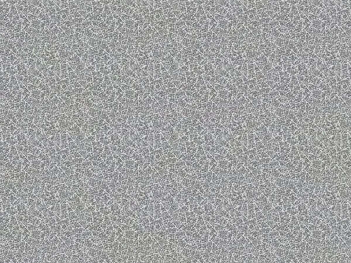 Artist turns suburban sprawl into twisting, haunting portraits