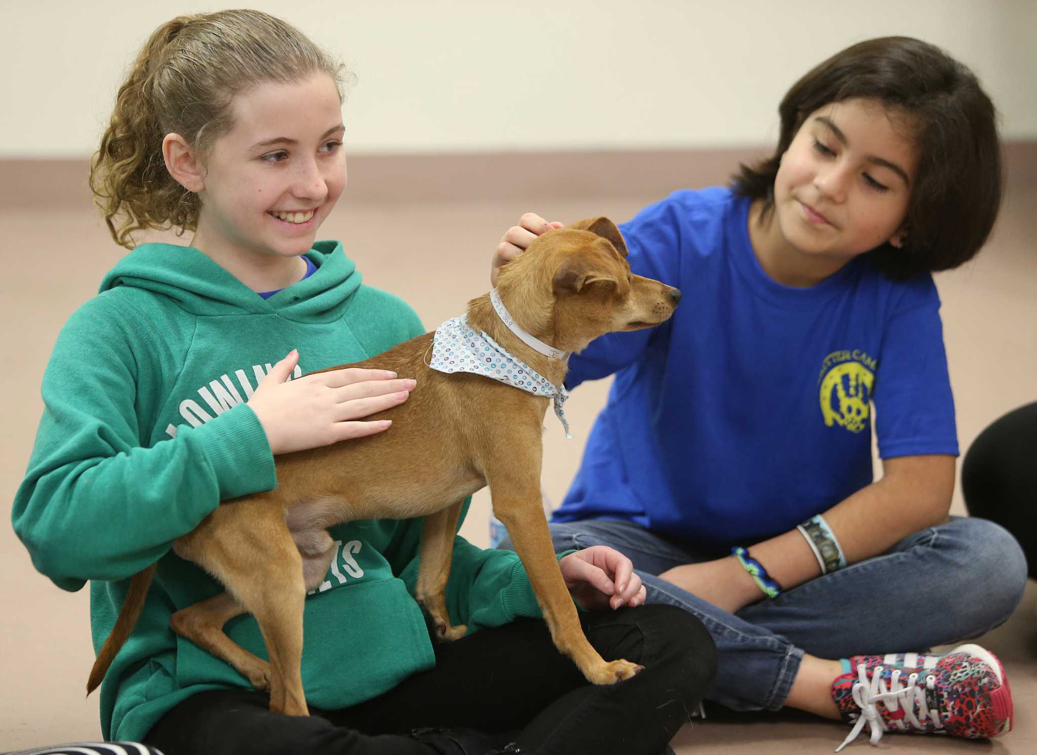 Local kids learn about rescued animals during the Houston SPCA Critter Camp