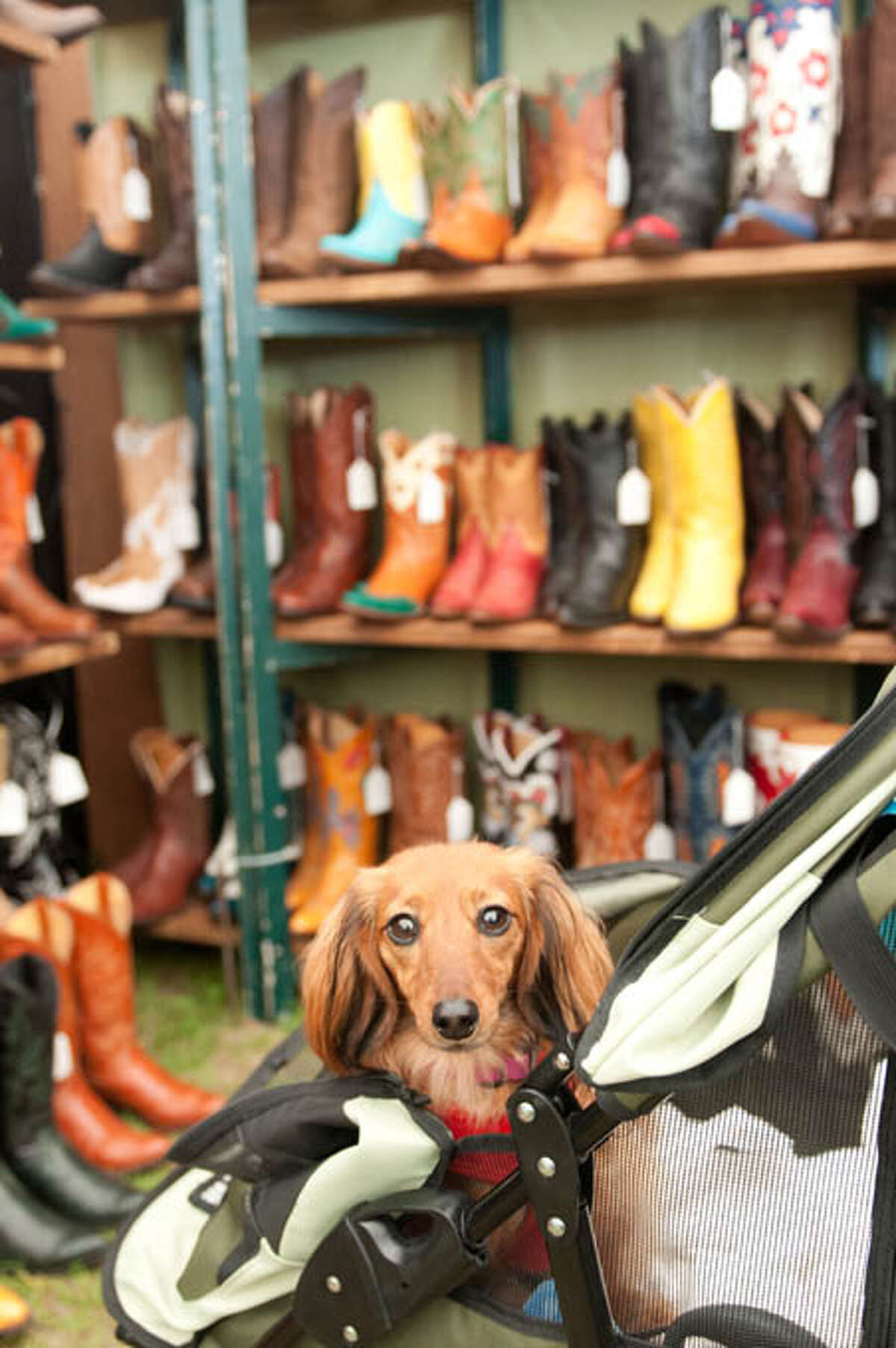 Vintage boots are a popular find up and down Texas Highway 237. This booth was one of 350 at a recent Marburger Farm Antique Show. Marburger's 43-acre field hosts 10 large large tents and 12 historic buildings. Its spring show opens March 31 and runs through April 4.