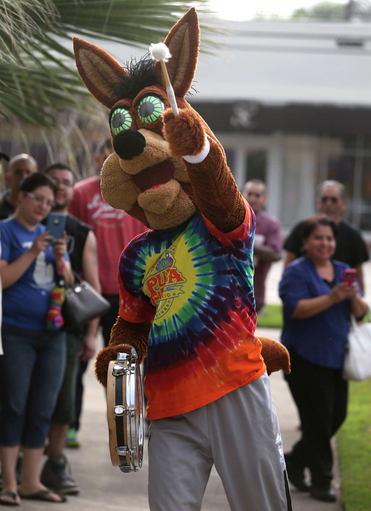 The Spurs Coyote (center) whips up enthusiasm Friday March 20, 2015 for customers in line for the purchase of Fiesta event tickets at the Fiesta Store at 2611 Broadway. There were two lines at the event. One was for the purchase of Fiesta event tickets such as parades and the other line was for the purchase of a new Coyote Fiesta medal. Customers are being limited to buying a maximum of five Coyote medals. Fiesta runs from April 16-26, 2015.