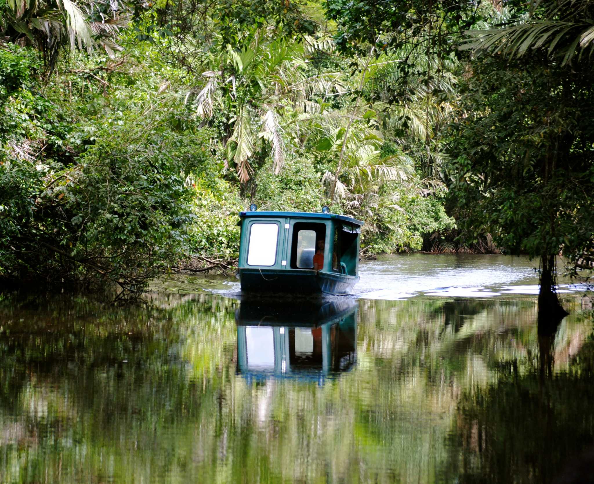 Postcard from: Tortuguero, Costa Rica