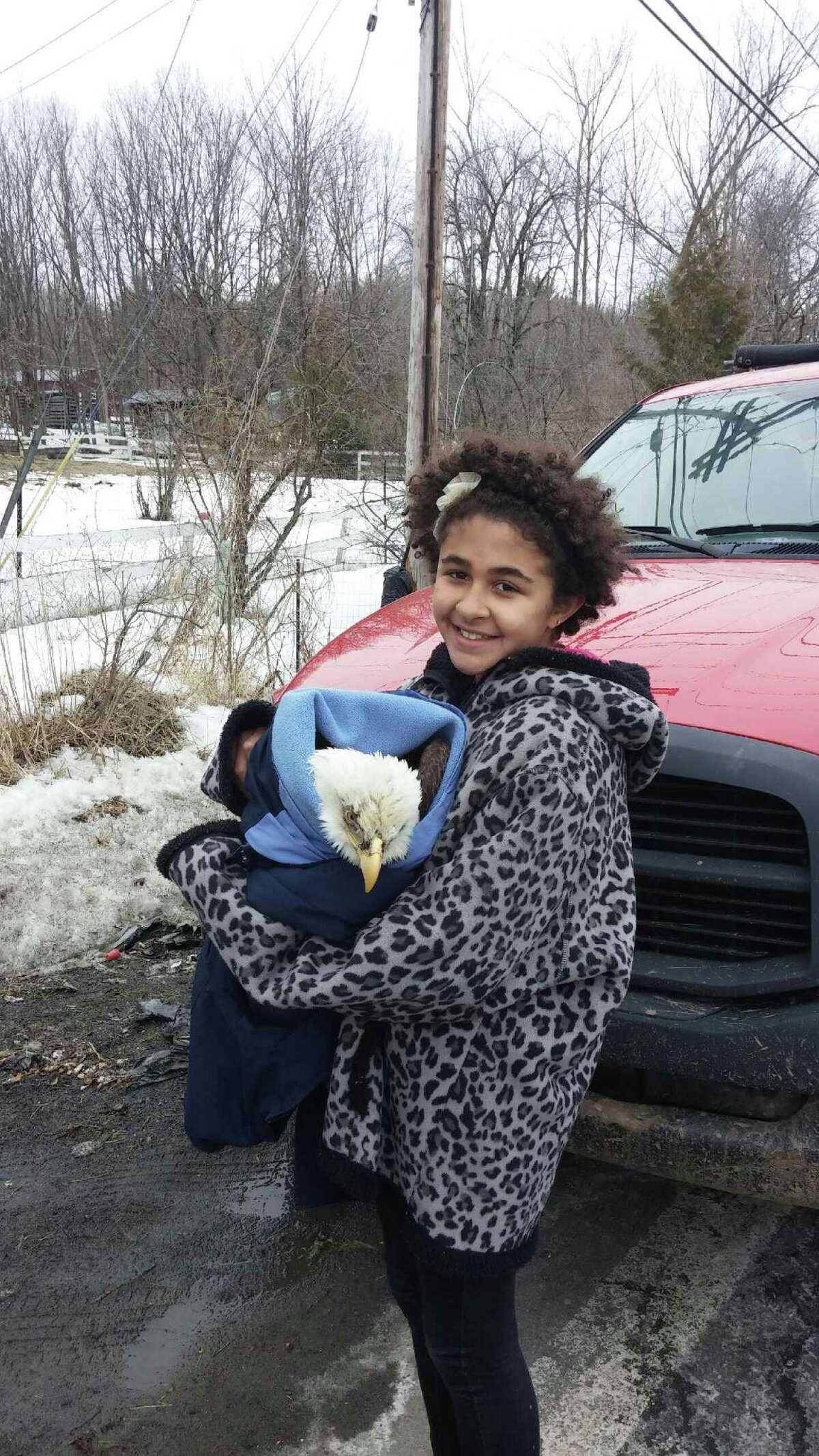 Schuylerville family rescues injured bald eagle