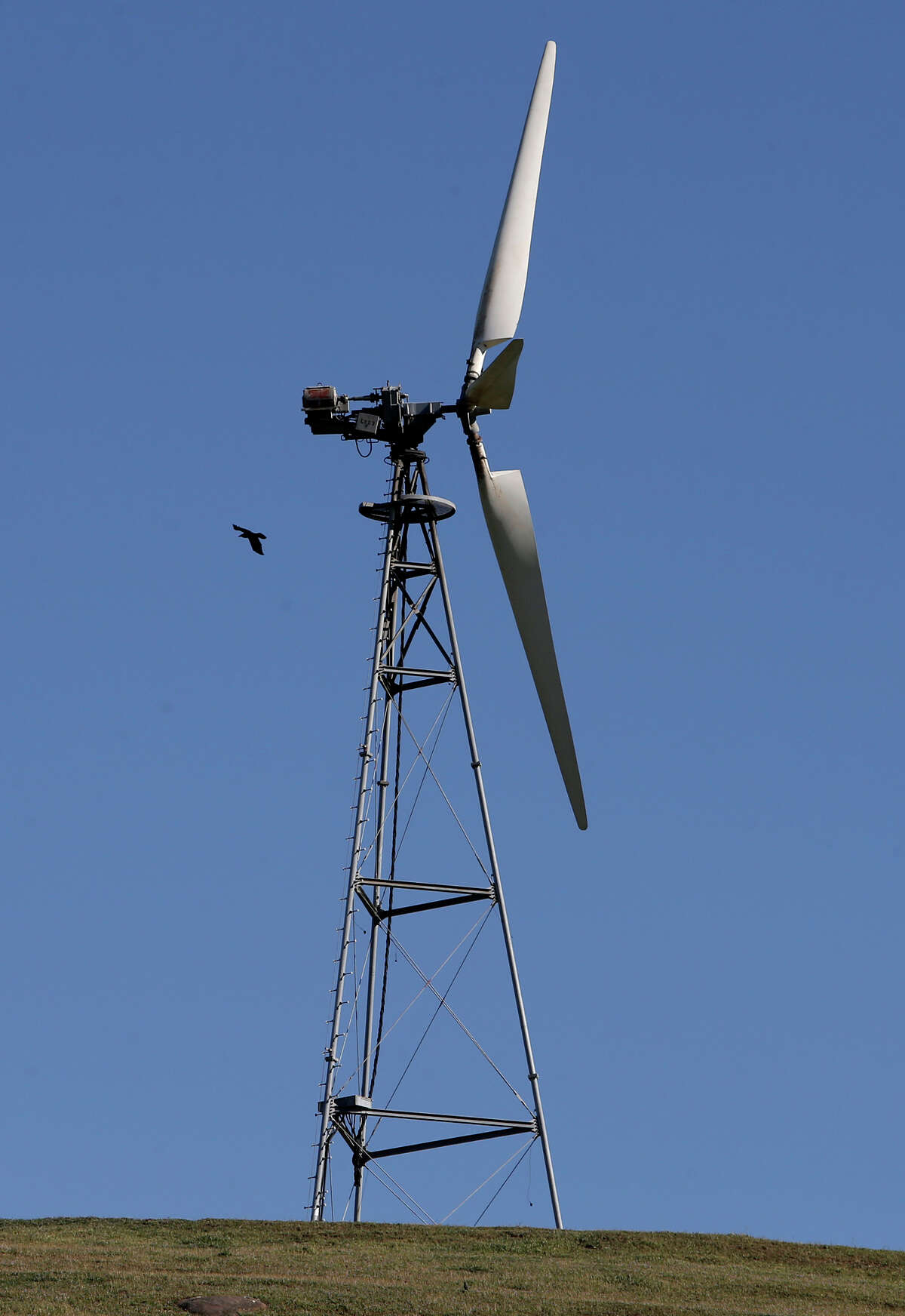 An older-style wind turbine sits off Dyer Road in Livermore. Altamont Winds Inc. wants three more years to replace the turbines that are killing many species of birds.