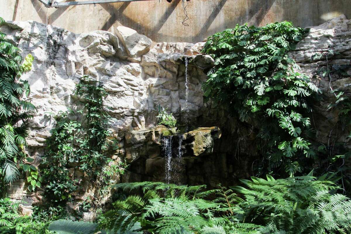 First Look: San Antonio Botanical Garden offers peek into the jungle ...