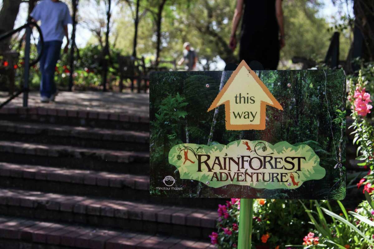 The Rainforest Adventure at the San Antonio Botanical Garden offers an educational look into the wildlife and ecosystem of a tropical rainforest.