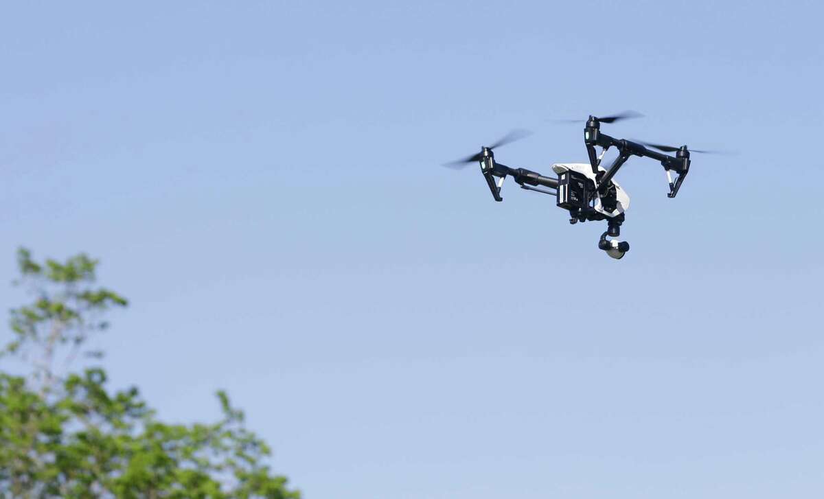 A drone flown by Tom McPhee with World Animal Awareness documents stray dogs in the Sunnyside area