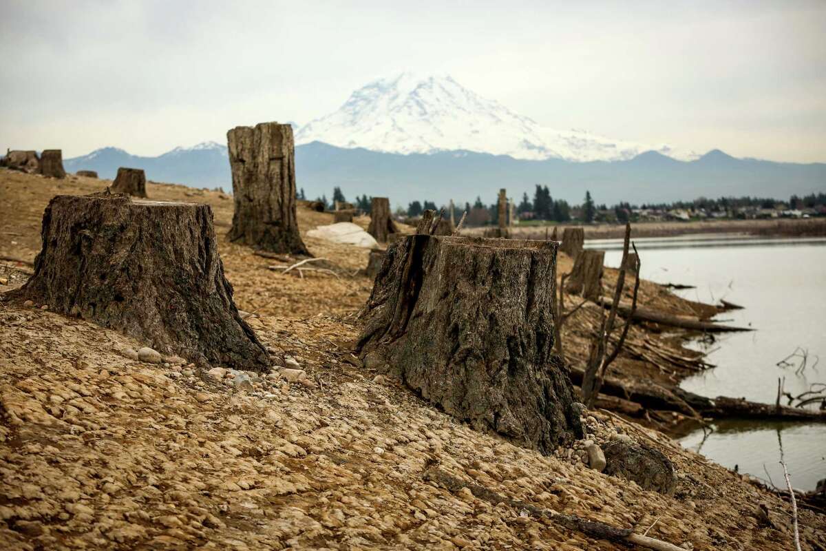 Lake Tapps reopens for some recreational activities