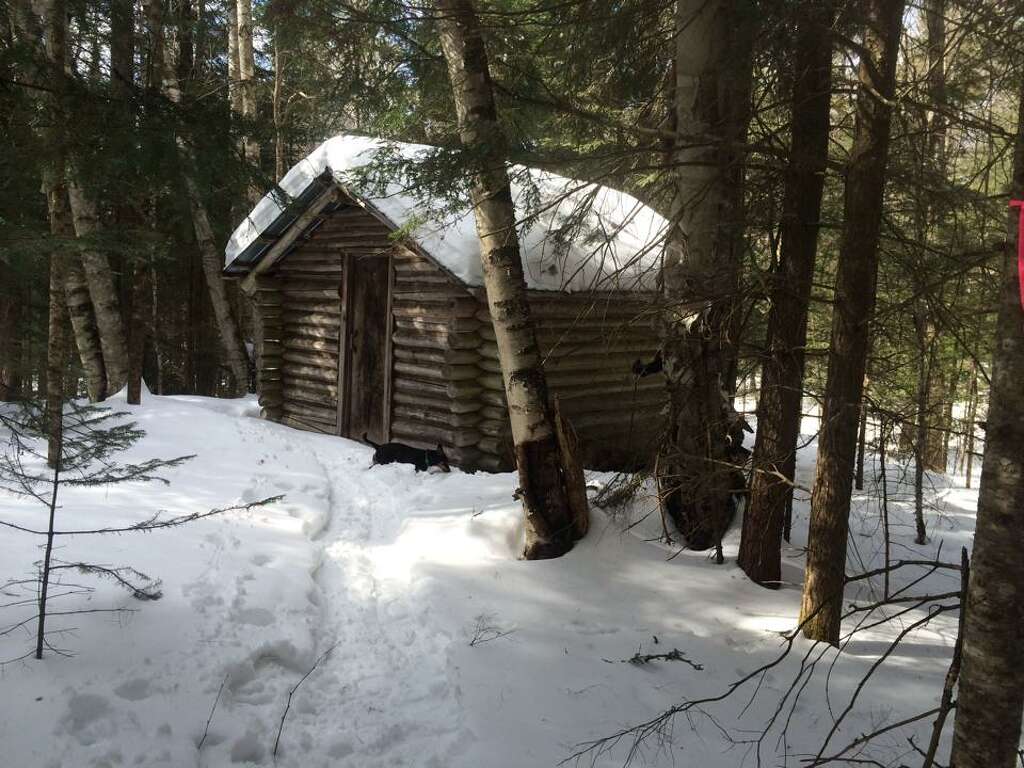 Tiny Rustic Log Cabin Home | 12 Real Log Cabin Homes - Take A Virtual Tour on Homesteading!