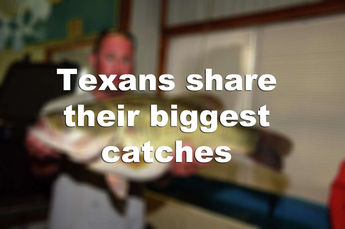 Check out some of the biggest fish to be recently pulled out of Texas waters.