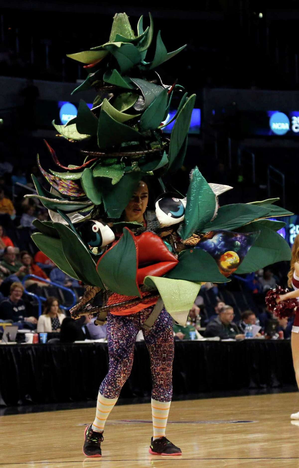 Stanford women's season ends with loss to Notre Dame