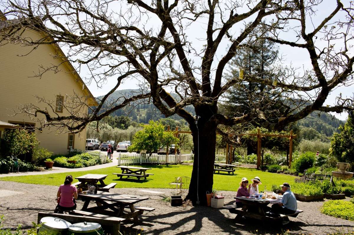 The best dogfriendly wineries in Napa County