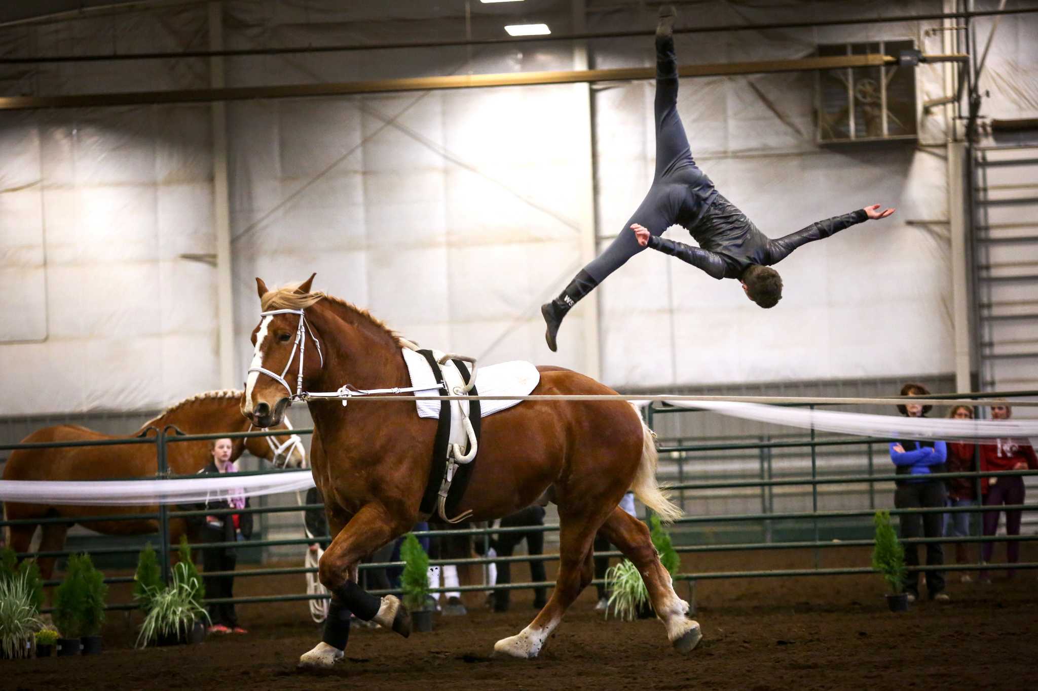 Equestrian vaulting Dance and gymnastics horseback