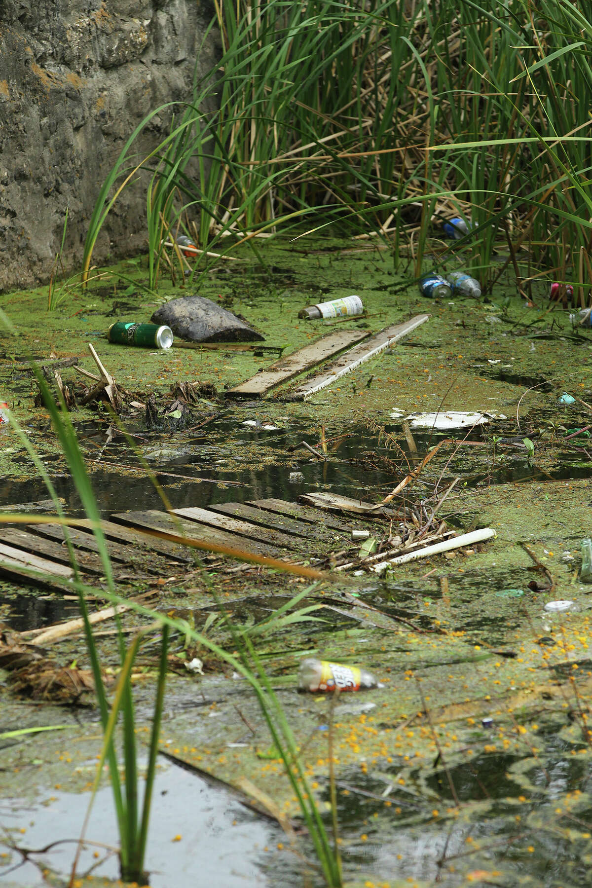 Makeover of San Antonio's Elmendorf Lake Park begins