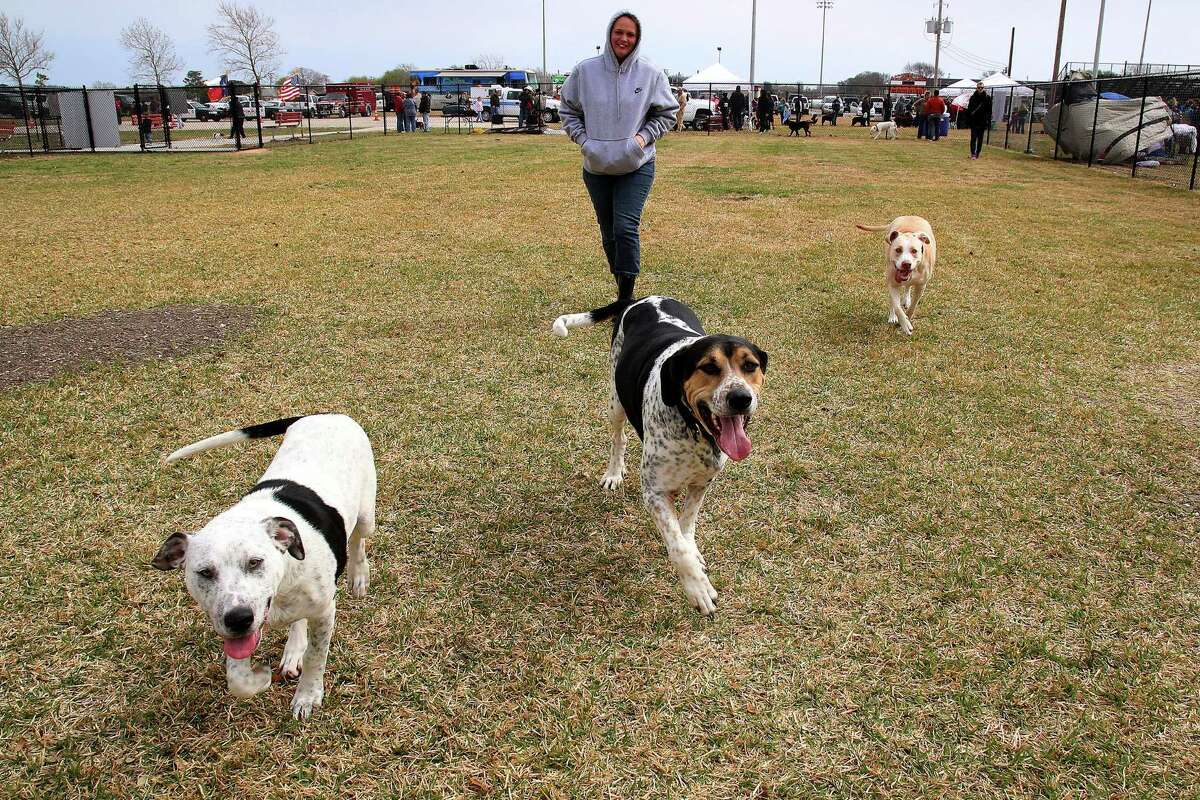 Erika Lowry and Tut (middle dog) making new friends at the new dog part at Amoco Park in Texas City. Photo by Pin Lim.