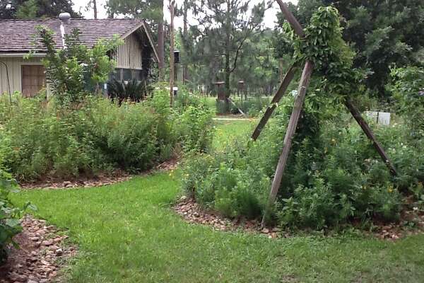 How To Turn Your Yard Into An Ecosystem Houstonchronicle Com