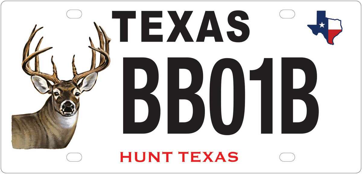 More than a handful of vanity Texas license plates could be in danger