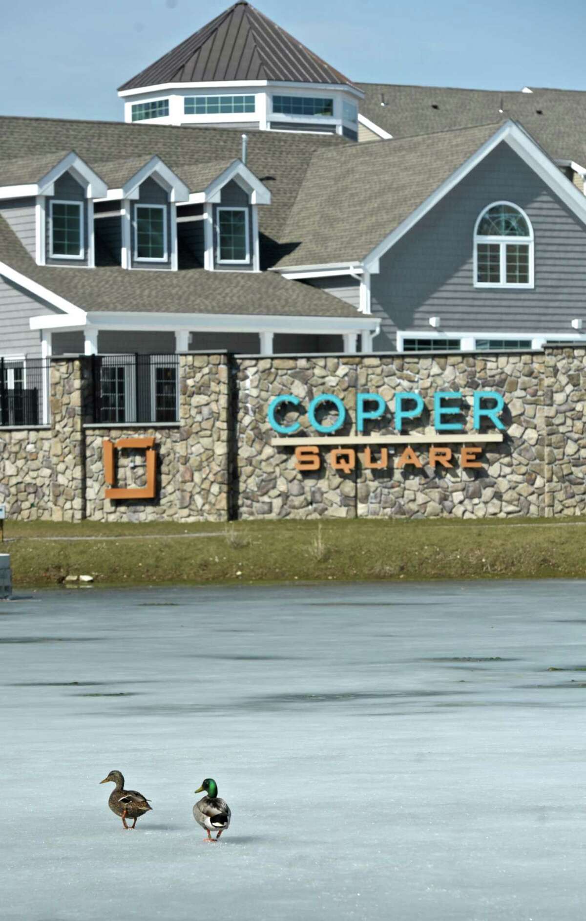 two ducks walk on the ice covered pond in front of the Cooper Square complex, in the Stony Hill section of Bethel, which is being developed by Stamford based RMS Companies. RMS has proposed a new hotel for the west side of Danbury. Thursday, April 2, 2015, Bethel, Conn.
