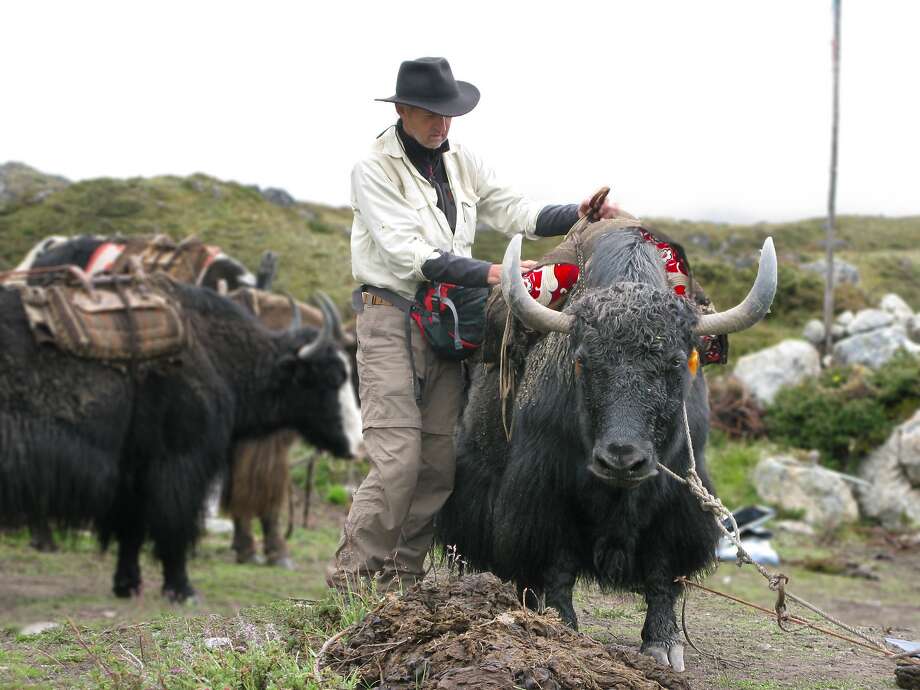 Just Back Yeti hunting in Nepal SFGate